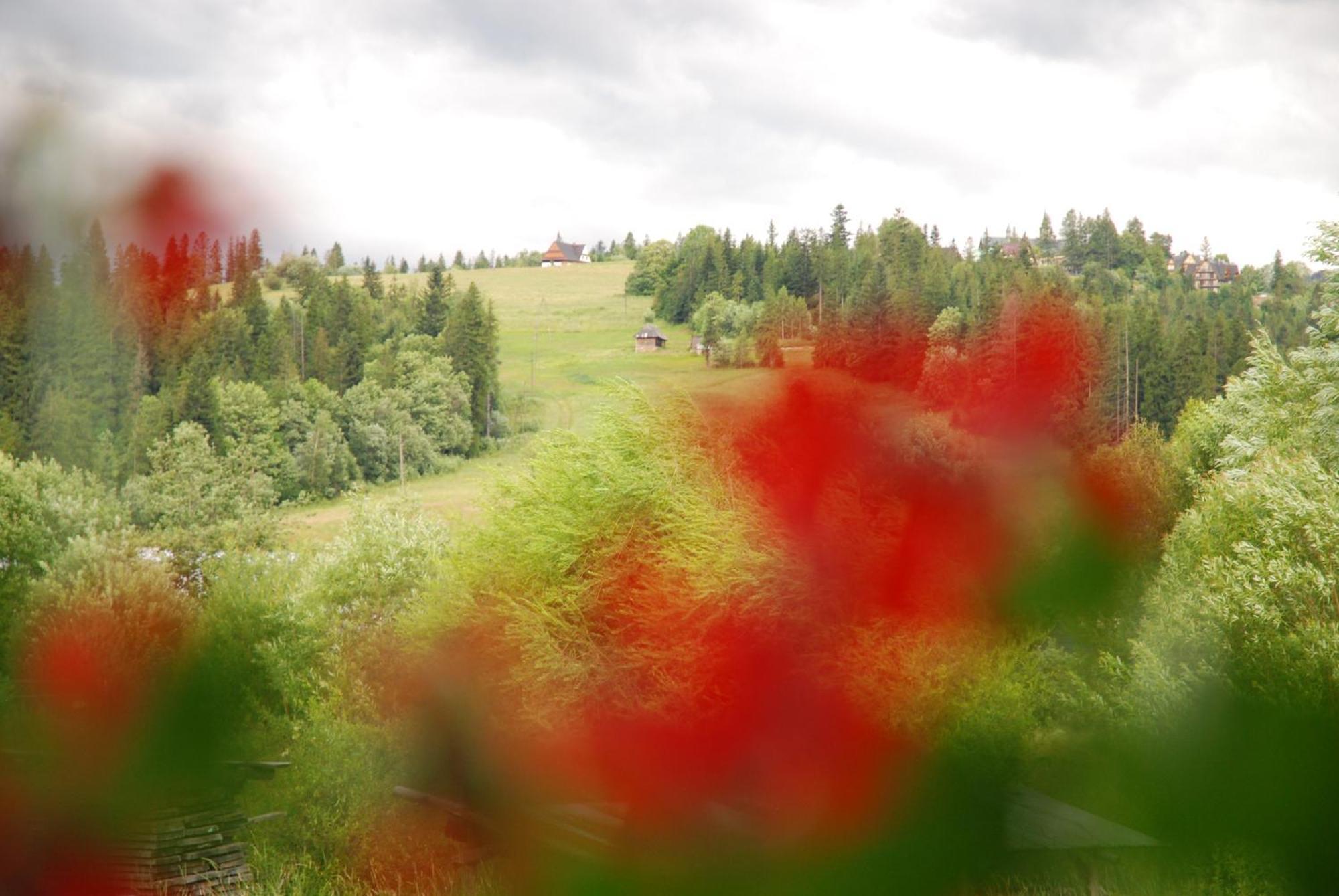 Bed and Breakfast "Czarna Turnia "Zakopane Exterior foto